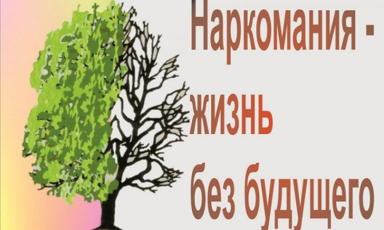 «Школа без наркотиков».